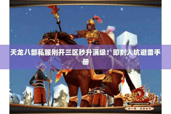 天龙八部私服刚开三区秒升满级!即刻入坑避雷手册 天龙八部私服刚开三区秒升满级!即刻入坑避雷手册