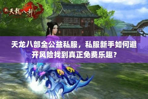 天龙八部全公益私服,私服新手如何避开风险找到真正免费乐趣? 天龙八部全公益私服,私服新手如何避开风险找到真正免费乐趣?
