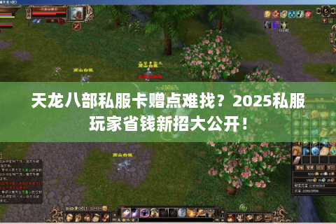 天龙八部私服卡赠点难找?2025私服玩家省钱新招大公开! 天龙八部私服卡赠点难找?2025私服玩家省钱新招大公开!