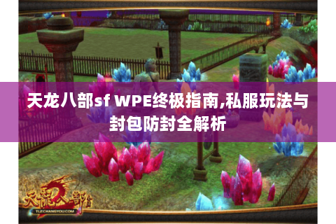 天龙八部sf WPE终极指南,私服玩法与封包防封全解析 天龙八部sf WPE终极指南,私服玩法与封包防封全解析