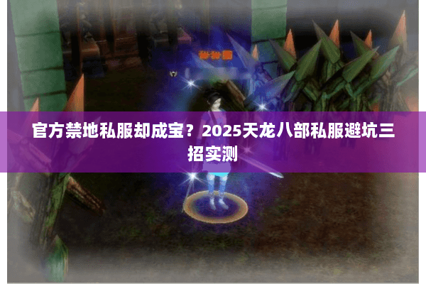 官方禁地私服却成宝？2025天龙八部私服避坑三招实测