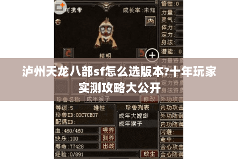 泸州天龙八部sf怎么选版本?十年玩家实测攻略大公开 泸州天龙八部sf怎么选版本?十年玩家实测攻略大公开