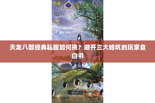 天龙八部经典私服如何挑?避开三大暗坑的玩家自白书 天龙八部经典私服如何挑?避开三大暗坑的玩家自白书