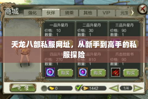 天龙八部私服网址，从新手到高手的私服探险