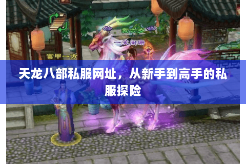 天龙八部私服网址，从新手到高手的私服探险