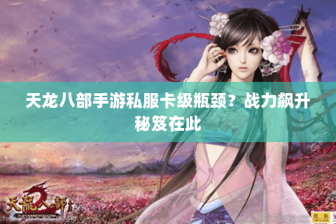 天龙八部手游私服卡级瓶颈?战力飙升秘笈在此 天龙八部手游私服卡级瓶颈?战力飙升秘笈在此