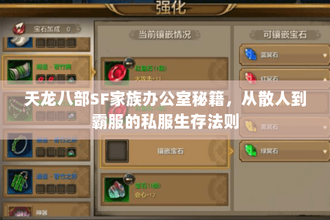 天龙八部SF家族办公室秘籍，从散人到霸服的私服生存法则