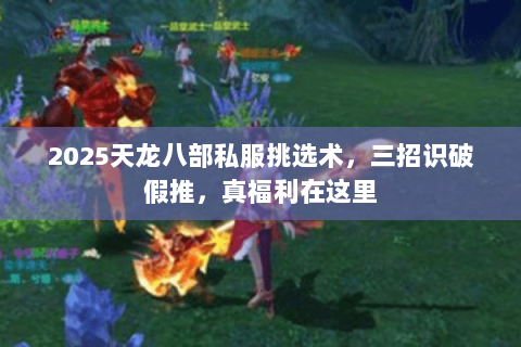 2025天龙八部私服挑选术,三招识破假推,真福利在这里 2025天龙八部私服挑选术,三招识破假推,真福利在这里