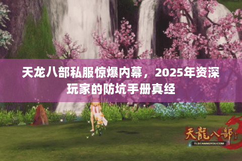天龙八部私服惊爆内幕,2025年资深玩家的防坑手册真经 天龙八部私服惊爆内幕,2025年资深玩家的防坑手册真经