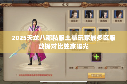 2025天龙八部私服土豪玩家最多区服数据对比独家曝光