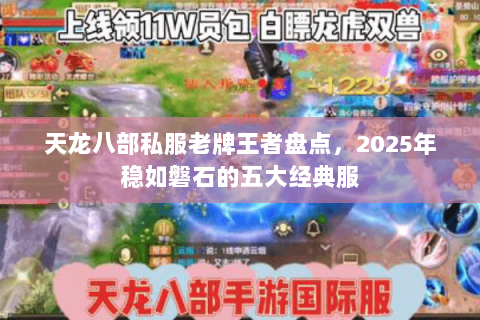 天龙八部私服老牌王者盘点,2025年稳如磐石的五大经典服 天龙八部私服老牌王者盘点,2025年稳如磐石的五大经典服