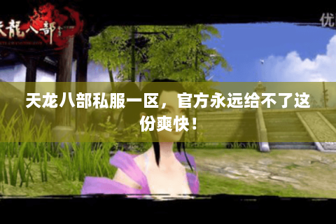 天龙八部私服一区,官方永远给不了这份爽快! 天龙八部私服一区,官方永远给不了这份爽快!