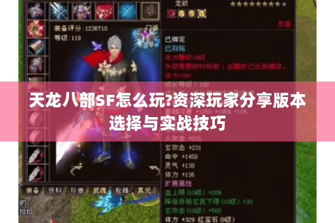 天龙八部SF怎么玩?资深玩家分享版本选择与实战技巧