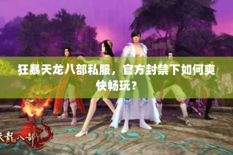 狂暴天龙八部私服,官方封禁下如何爽快畅玩? 狂暴天龙八部私服,官方封禁下如何爽快畅玩?