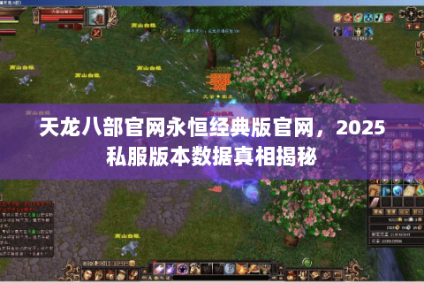 天龙八部官网永恒经典版官网,2025私服版本数据真相揭秘 天龙八部官网永恒经典版官网,2025私服版本数据真相揭秘