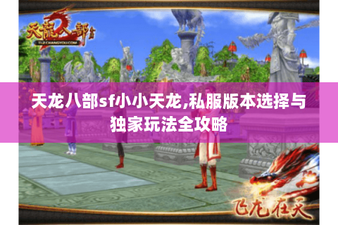 天龙八部sf小小天龙,私服版本选择与独家玩法全攻略 天龙八部sf小小天龙,私服版本选择与独家玩法全攻略