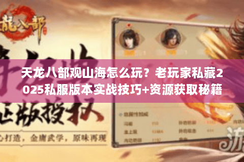 天龙八部观山海怎么玩？老玩家私藏2025私服版本实战技巧+资源获取秘籍