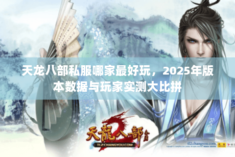 天龙八部私服哪家最好玩,2025年版本数据与玩家实测大比拼 天龙八部私服哪家最好玩,2025年版本数据与玩家实测大比拼