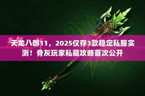 天龙八部11，2025仅存3款稳定私服实测！骨灰玩家私藏攻略首次公开