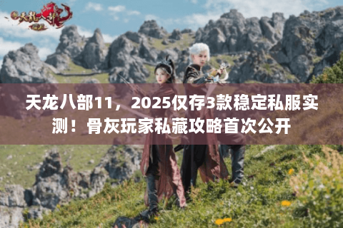 天龙八部11，2025仅存3款稳定私服实测！骨灰玩家私藏攻略首次公开