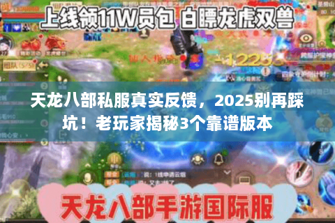 天龙八部私服真实反馈，2025别再踩坑！老玩家揭秘3个靠谱版本