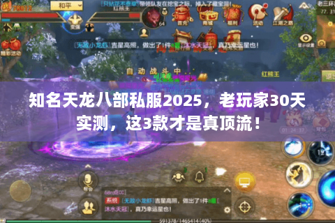 知名天龙八部私服2025,老玩家30天实测,这3款才是真顶流! 知名天龙八部私服2025,老玩家30天实测,这3款才是真顶流!