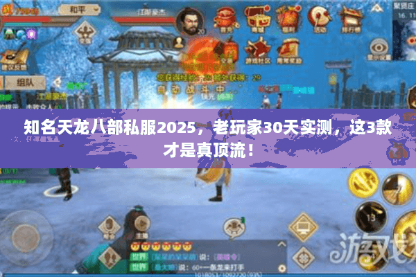 知名天龙八部私服2025，老玩家30天实测，这3款才是真顶流！