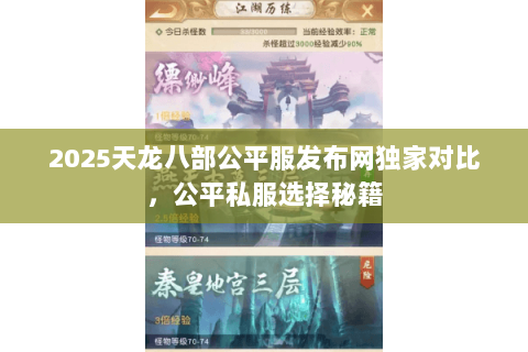 2025天龙八部公平服发布网独家对比,公平私服选择秘籍 2025天龙八部公平服发布网独家对比,公平私服选择秘籍
