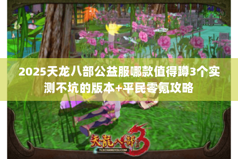 2025天龙八部公益服哪款值得蹲3个实测不坑的版本+平民零氪攻略 2025天龙八部公益服哪款值得蹲3个实测不坑的版本+平民零氪攻略