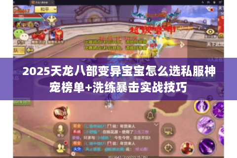 2025天龙八部变异宝宝怎么选私服神宠榜单+洗练暴击实战技巧 2025天龙八部变异宝宝怎么选私服神宠榜单+洗练暴击实战技巧