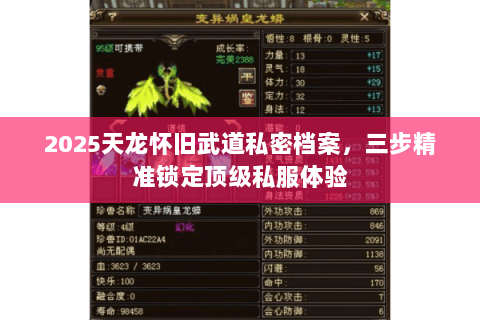 2025天龙怀旧武道私密档案,三步精准锁定顶级私服体验 2025天龙怀旧武道私密档案,三步精准锁定顶级私服体验