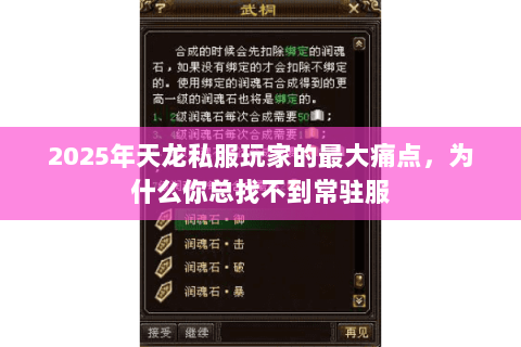 2025年天龙私服玩家的最大痛点,为什么你总找不到常驻服 2025年天龙私服玩家的最大痛点,为什么你总找不到常驻服