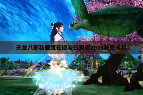 天龙八部私服藏在哪老玩家曝2025独家玄机 天龙八部私服藏在哪老玩家曝2025独家玄机
