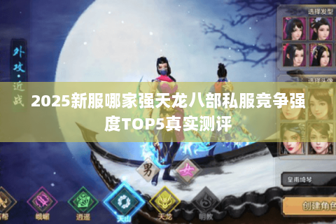 2025新服哪家强天龙八部私服竞争强度TOP5真实测评 2025新服哪家强天龙八部私服竞争强度TOP5真实测评