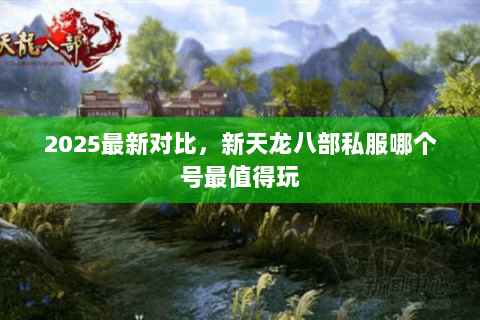 2025最新对比,新天龙八部私服哪个号最值得玩 2025最新对比,新天龙八部私服哪个号最值得玩