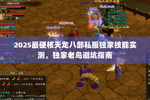 2025最硬核天龙八部私服独家技能实测,独家老鸟避坑指南 2025最硬核天龙八部私服独家技能实测,独家老鸟避坑指南