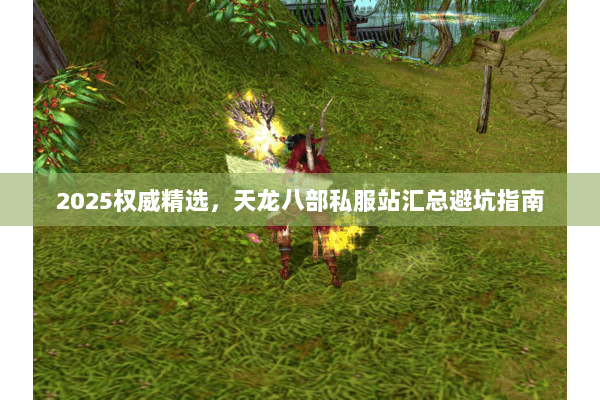 2025权威精选,天龙八部私服站汇总避坑指南 2025权威精选,天龙八部私服站汇总避坑指南