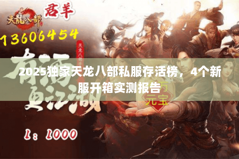 2025独家天龙八部私服存活榜,4个新服开箱实测报告 2025独家天龙八部私服存活榜,4个新服开箱实测报告