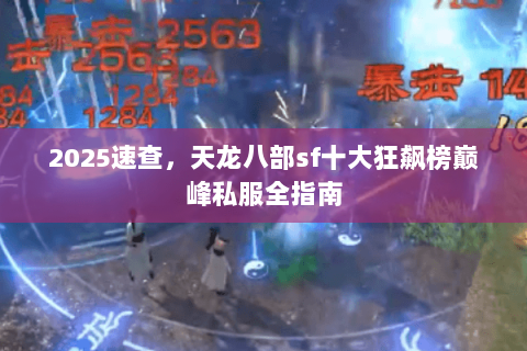 2025速查,天龙八部sf十大狂飙榜巅峰私服全指南 2025速查,天龙八部sf十大狂飙榜巅峰私服全指南