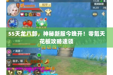 55天龙八部,神秘新服今晚开!零氪天花板攻略速领 55天龙八部,神秘新服今晚开!零氪天花板攻略速领