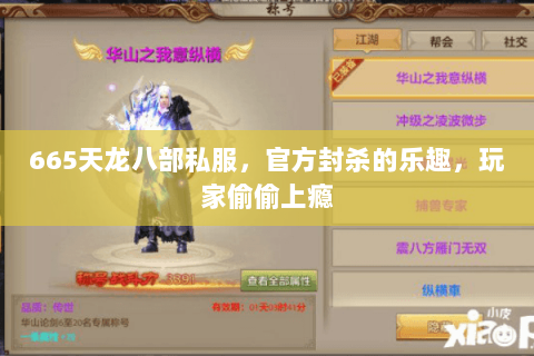 665天龙八部私服,官方封杀的乐趣,玩家偷偷上瘾 665天龙八部私服,官方封杀的乐趣,玩家偷偷上瘾