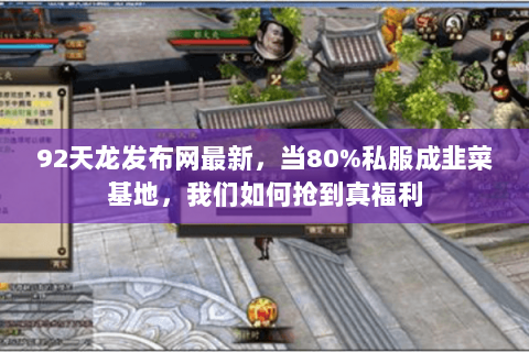 92天龙发布网最新,当80%私服成韭菜基地,我们如何抢到真福利 92天龙发布网最新,当80%私服成韭菜基地,我们如何抢到真福利
