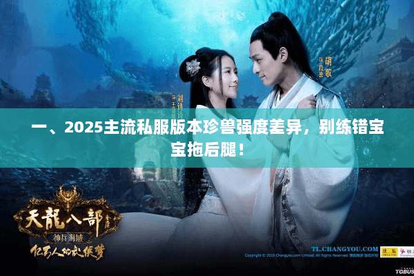 一、2025主流私服版本珍兽强度差异,别练错宝宝拖后腿! 一、2025主流私服版本珍兽强度差异,别练错宝宝拖后腿!