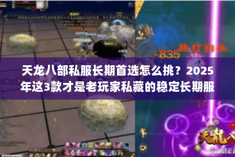天龙八部私服长期首选怎么挑?2025年这3款才是老玩家私藏的稳定长期服 天龙八部私服长期首选怎么挑?2025年这3款才是老玩家私藏的稳定长期服