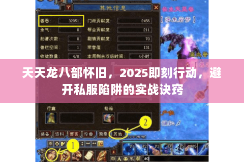 天天龙八部怀旧,2025即刻行动,避开私服陷阱的实战诀窍 天天龙八部怀旧,2025即刻行动,避开私服陷阱的实战诀窍