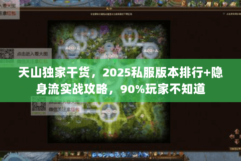 天山独家干货,2025私服版本排行+隐身流实战攻略,90%玩家不知道 天山独家干货,2025私服版本排行+隐身流实战攻略,90%玩家不知道