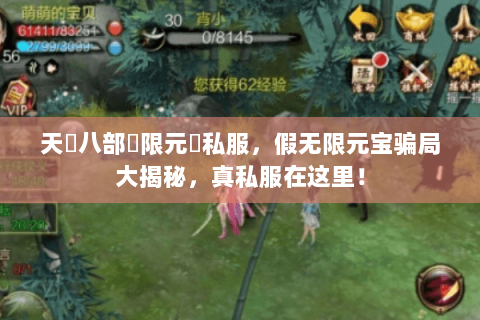 天龍八部無限元寶私服,假无限元宝骗局大揭秘,真私服在这里! 天龍八部無限元寶私服,假无限元宝骗局大揭秘,真私服在这里!