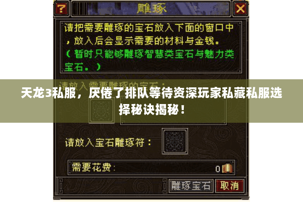 天龙3私服,厌倦了排队等待资深玩家私藏私服选择秘诀揭秘! 天龙3私服,厌倦了排队等待资深玩家私藏私服选择秘诀揭秘!