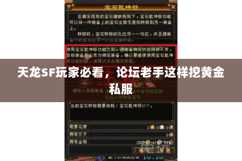 天龙SF玩家必看,论坛老手这样挖黄金私服 天龙SF玩家必看,论坛老手这样挖黄金私服