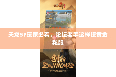 天龙SF玩家必看,论坛老手这样挖黄金私服 天龙SF玩家必看,论坛老手这样挖黄金私服